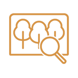 شناسایی درخت